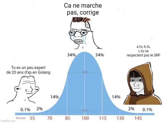 Ton prompt en dit long
