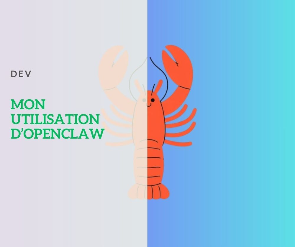 Qu'est-ce que je fais avec mon agent OpenClaw ?