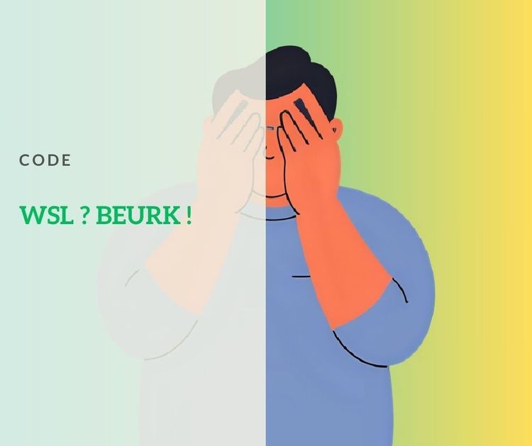 Pourquoi je déconseille WSL