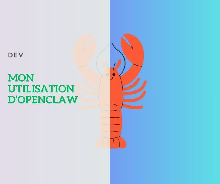 Qu'est-ce que je fais avec mon agent OpenClaw ?