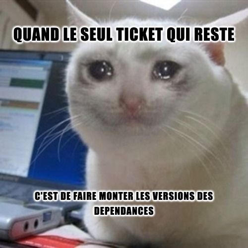 Le job ingrat